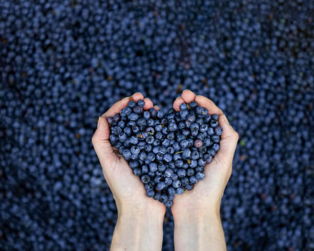 Fruits