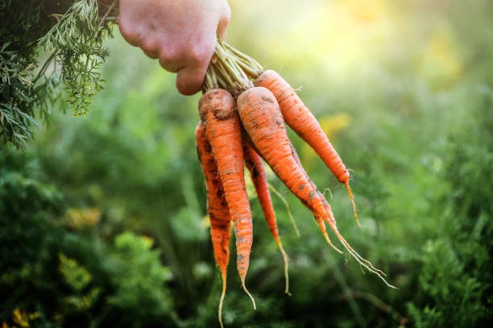 Légumes