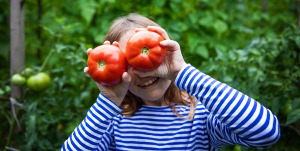 Tomates